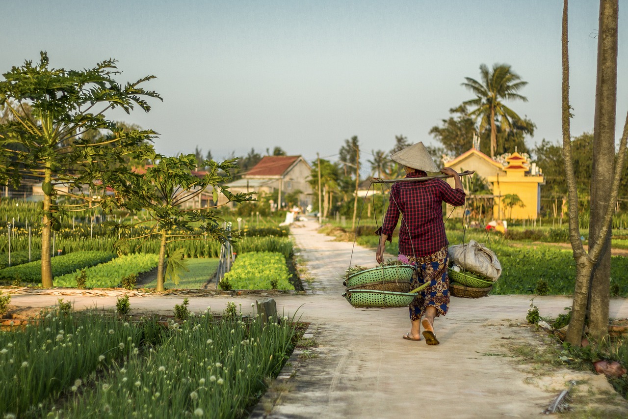 Comment aménager une allée de jardin durable et esthétique ? découvrez comment créer un chemin de jardin durable alliant esthétique et respect de l'environnement pour un espace extérieur éco-responsable.