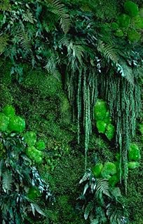 Mur Végétal Intérieur Personnalisable - Kit DIY Facile avec Plantes Stabilisées Naturelles Sans Entretien - Décoration Murale Durable et Unique pour Salon, Bureau - Fabriqué en France 1m²/ kit