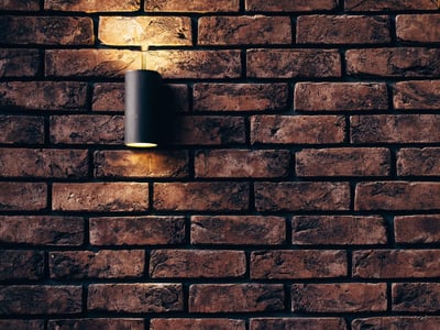 Comment créer un mur végétal d’intérieur sans système complexe ?