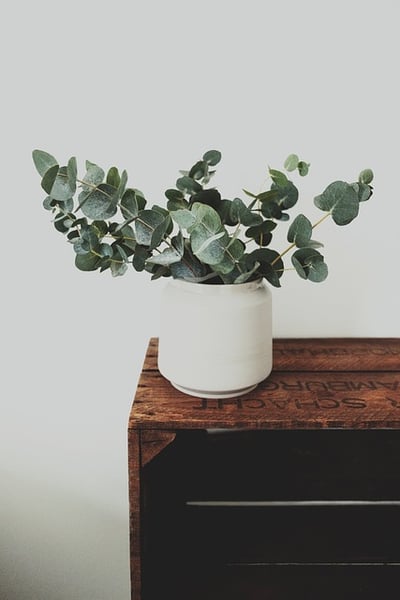 Faire soi-même des jardinières en bois : idées simples et efficaces