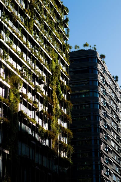 Comment aménager une allée de jardin durable et esthétique ?